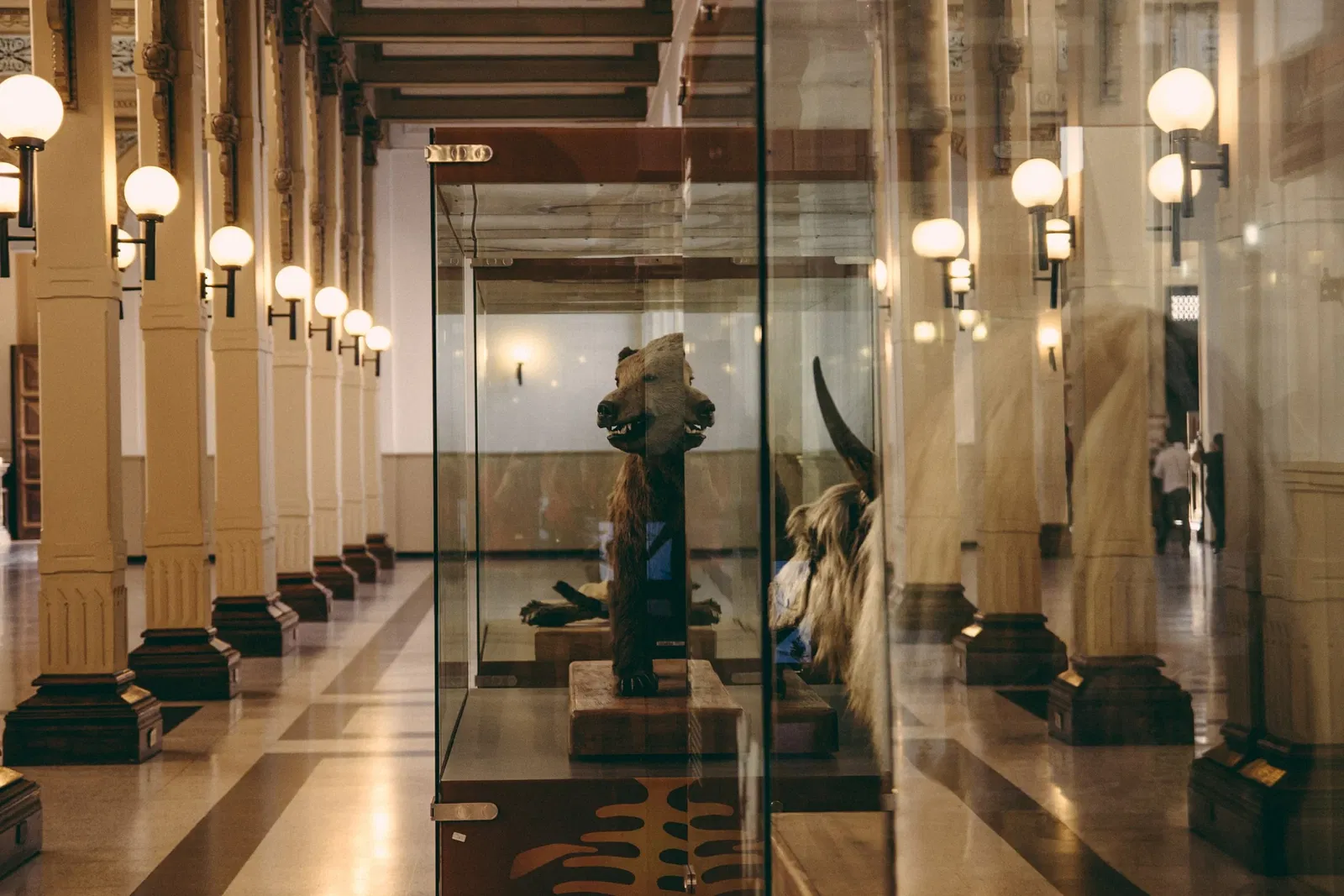 Musée national d'histoire naturelle du Chili