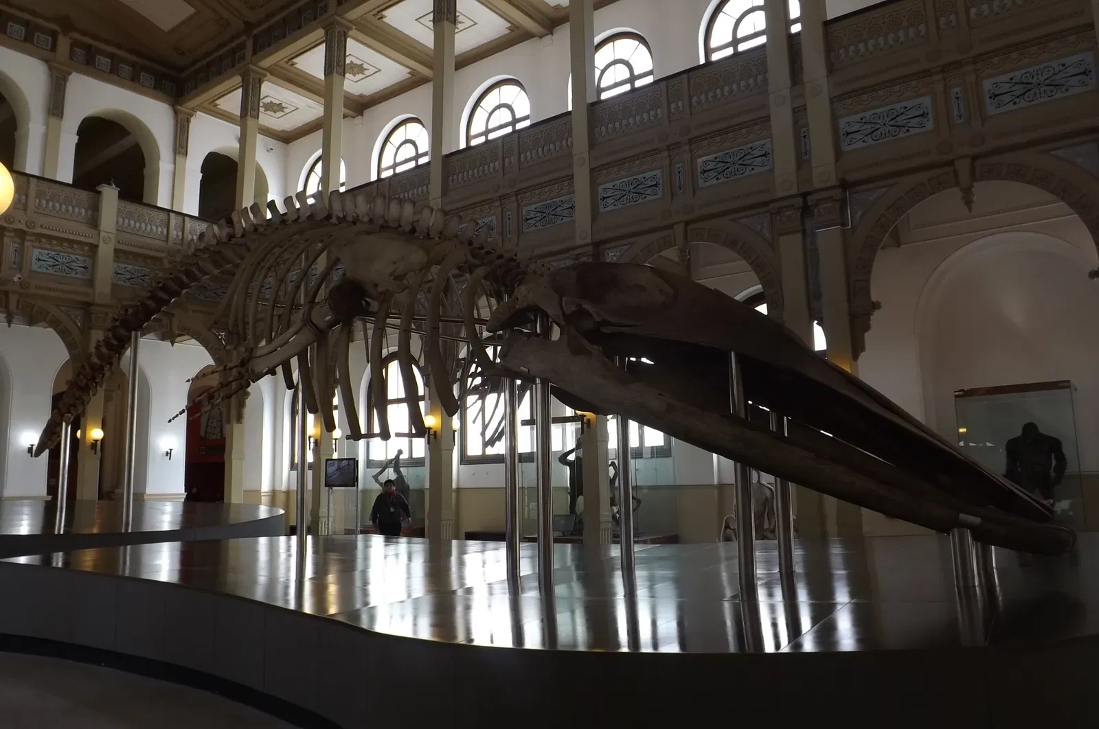 Museo Nacional de Historia Natural de Chile