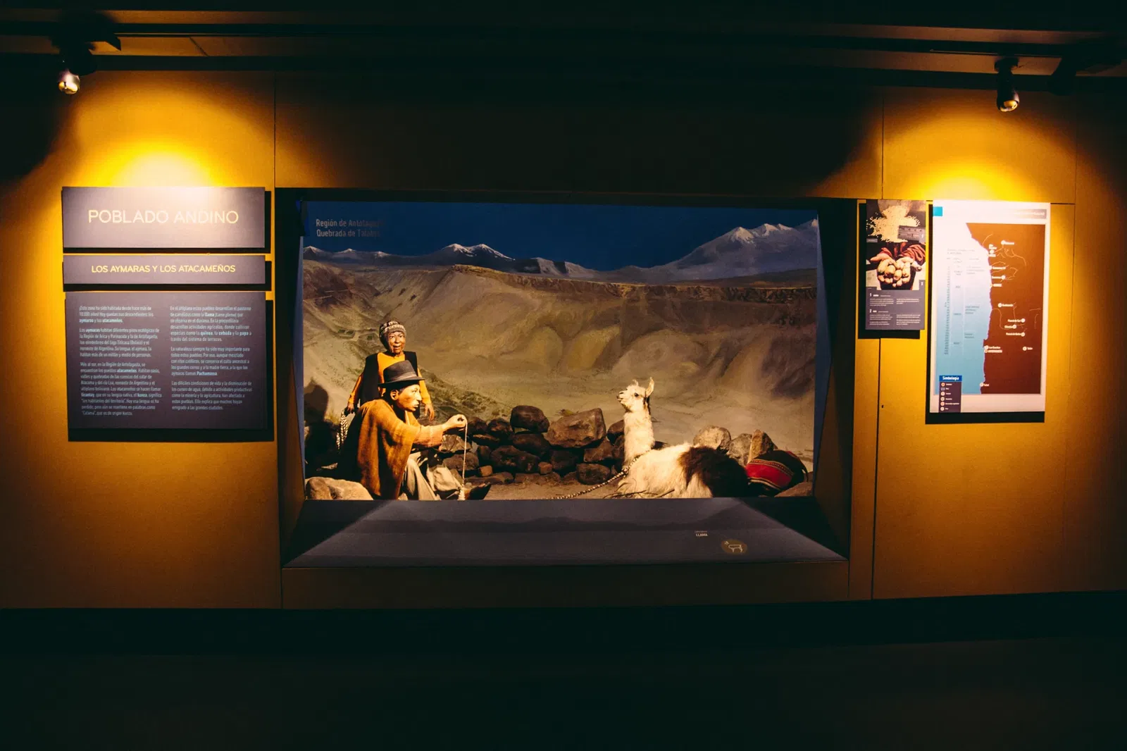 Museo Nacional de Historia Natural de Chile