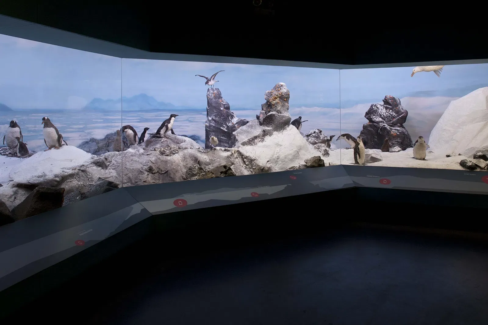 Museo Nacional de Historia Natural de Chile