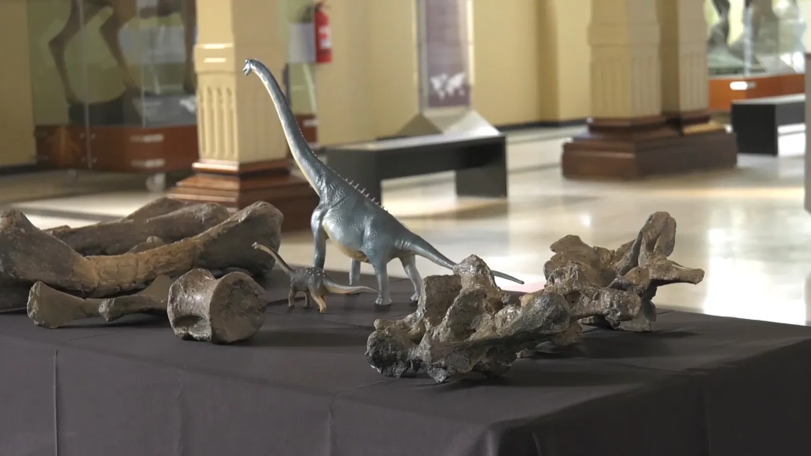 National Museum of Natural History