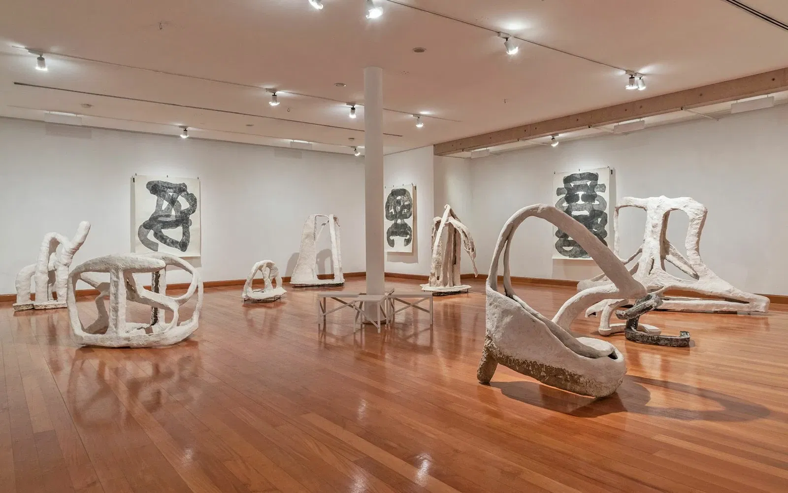 Museum of Visual Arts