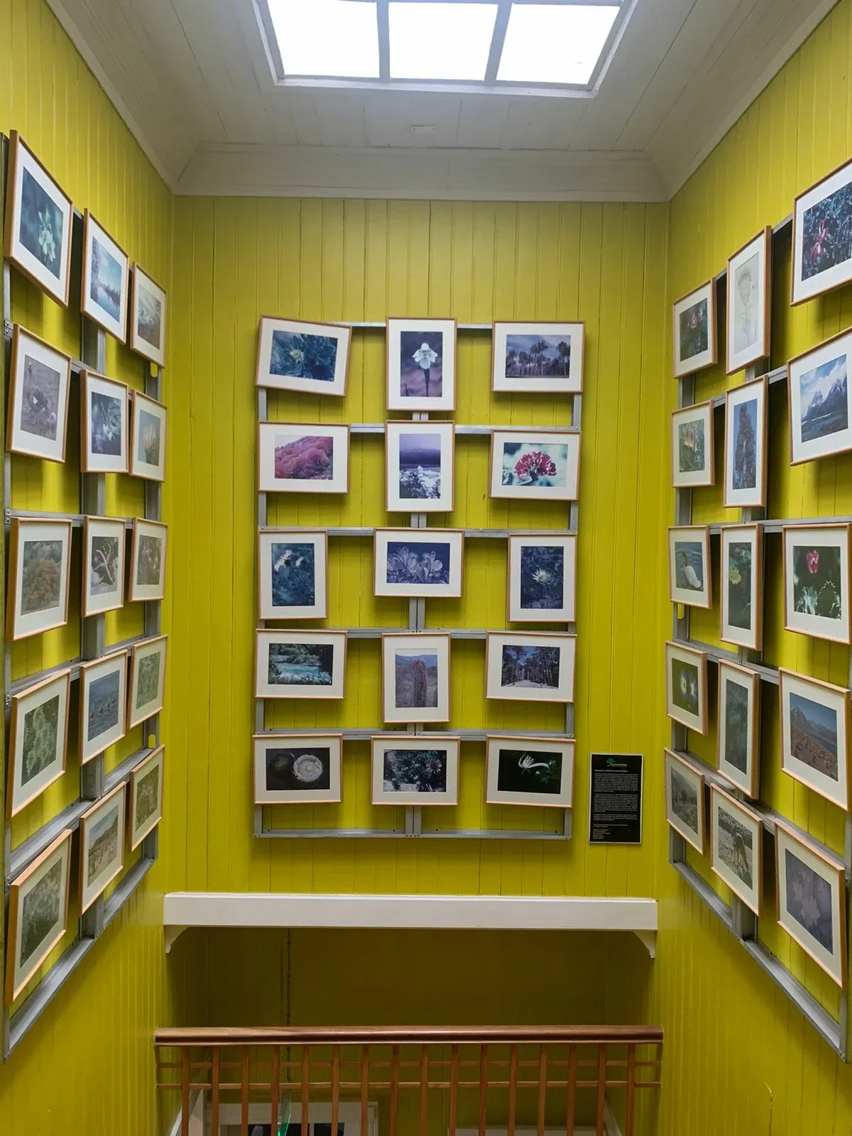 Museo de la Exploración Rudolph Amandus Philippi