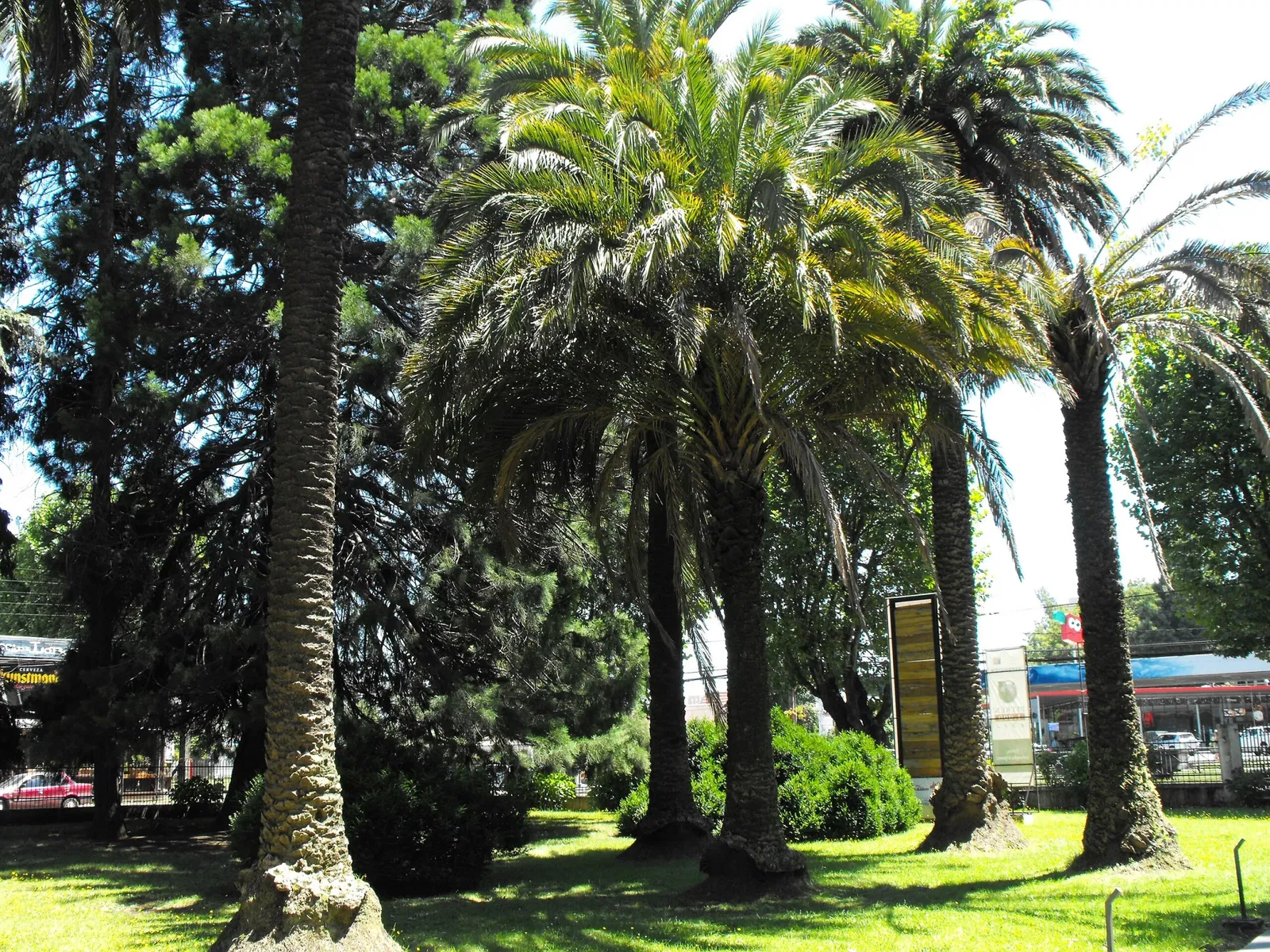 Museo Regional de la Araucanía