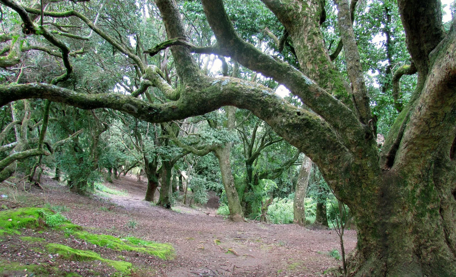 Museo Pedro del Río Zañartu