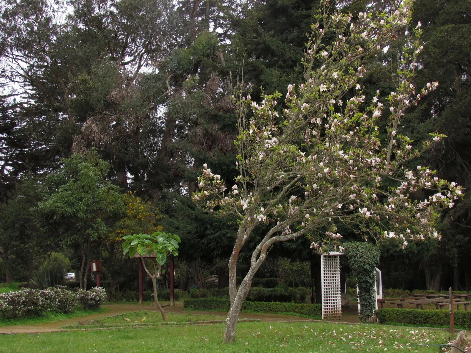 Parque Museo Pedro del Río Zañartu