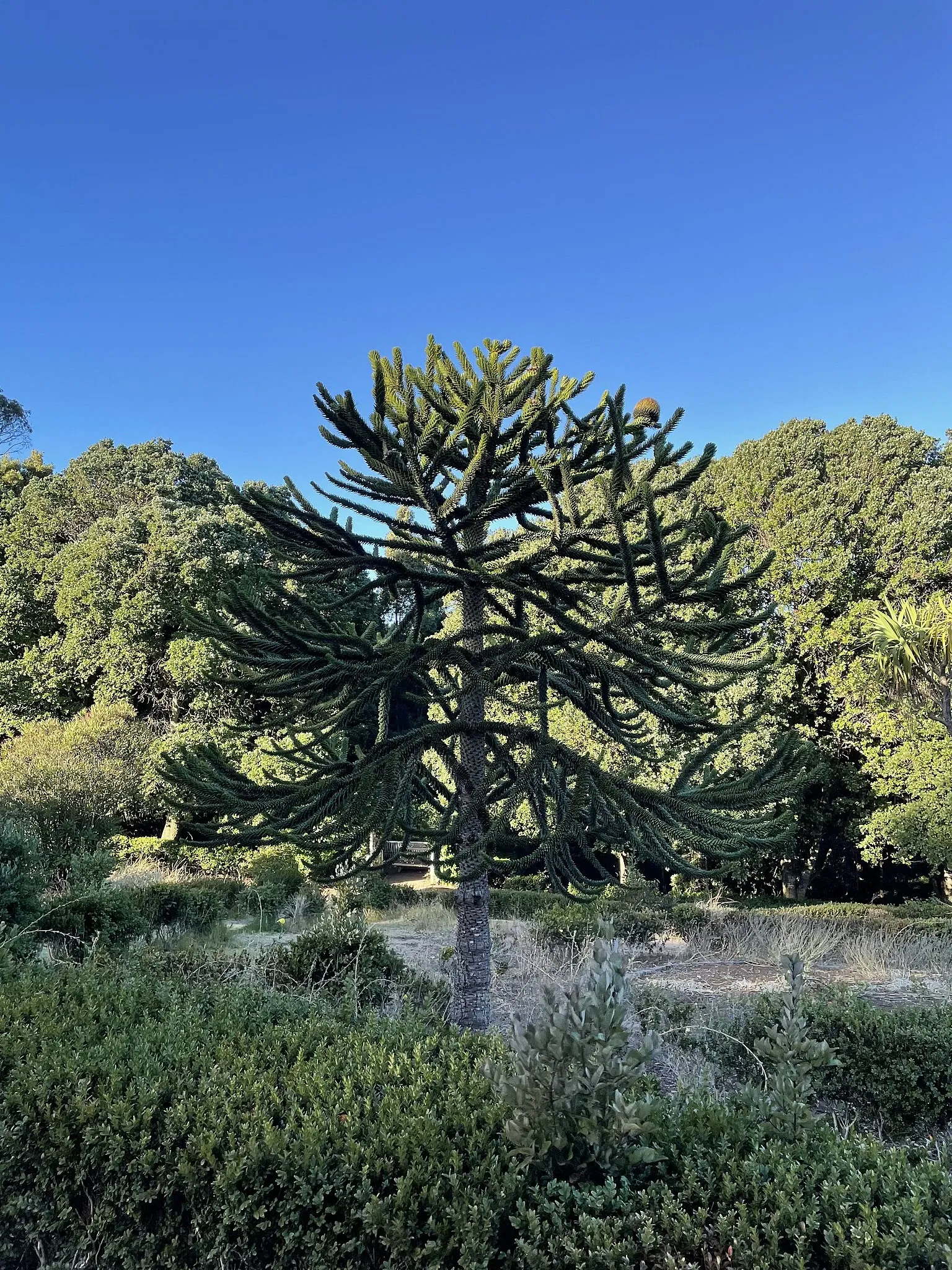 Parque Museo Pedro del Río Zañartu