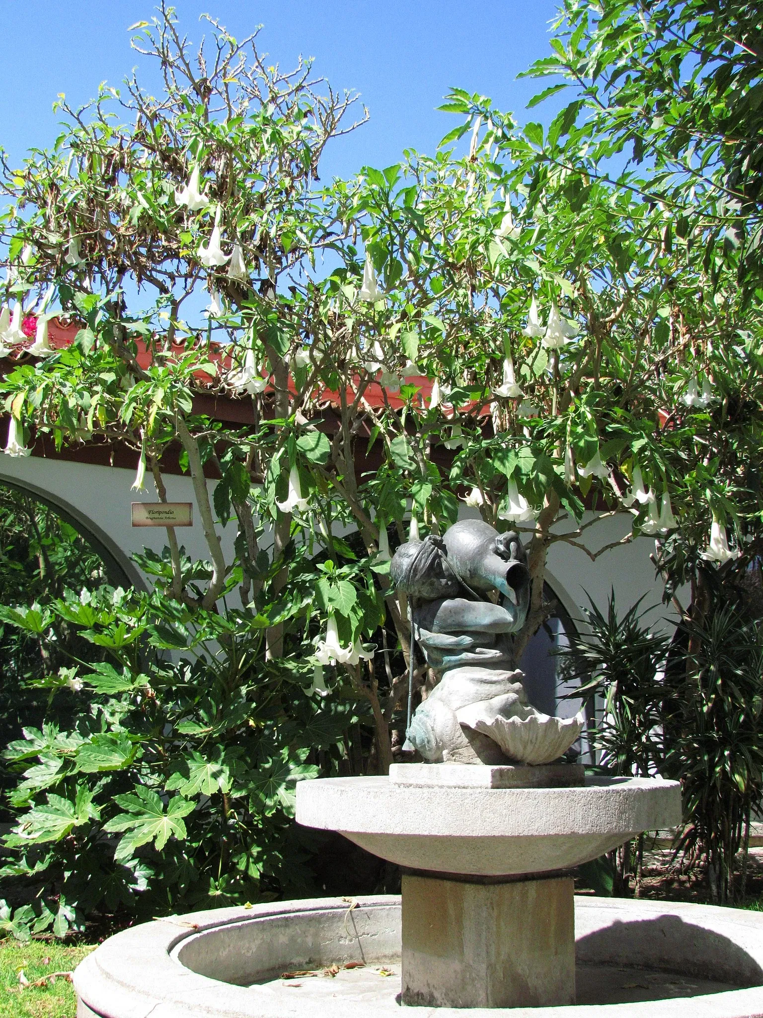 Museo Arqueológico de La Serena