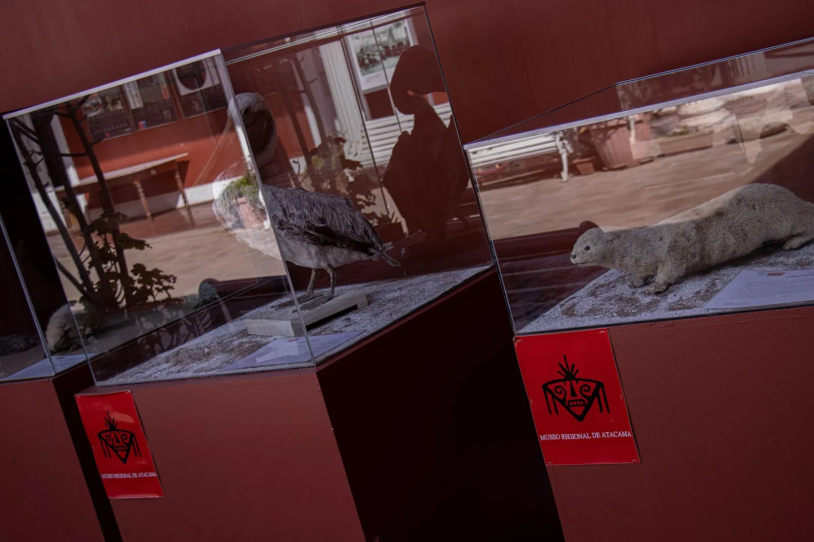 Museo Regional de Atacama