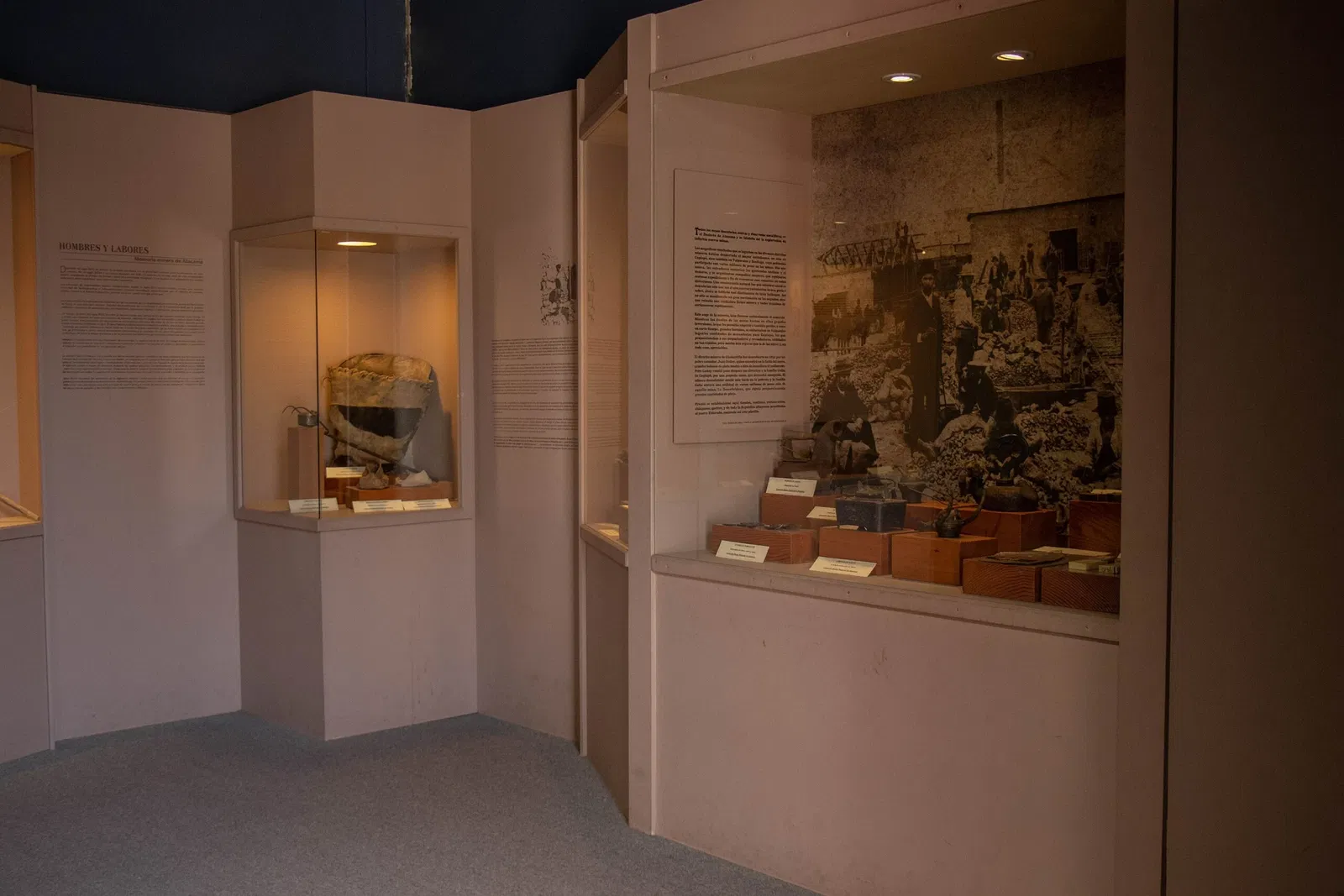 Regional Museum of Atacama