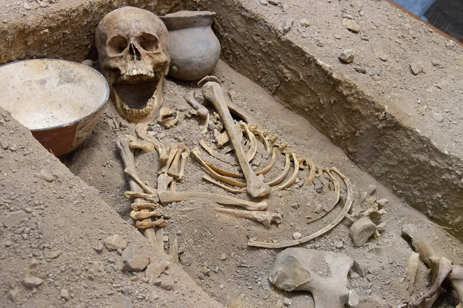 Regional Museum of Atacama