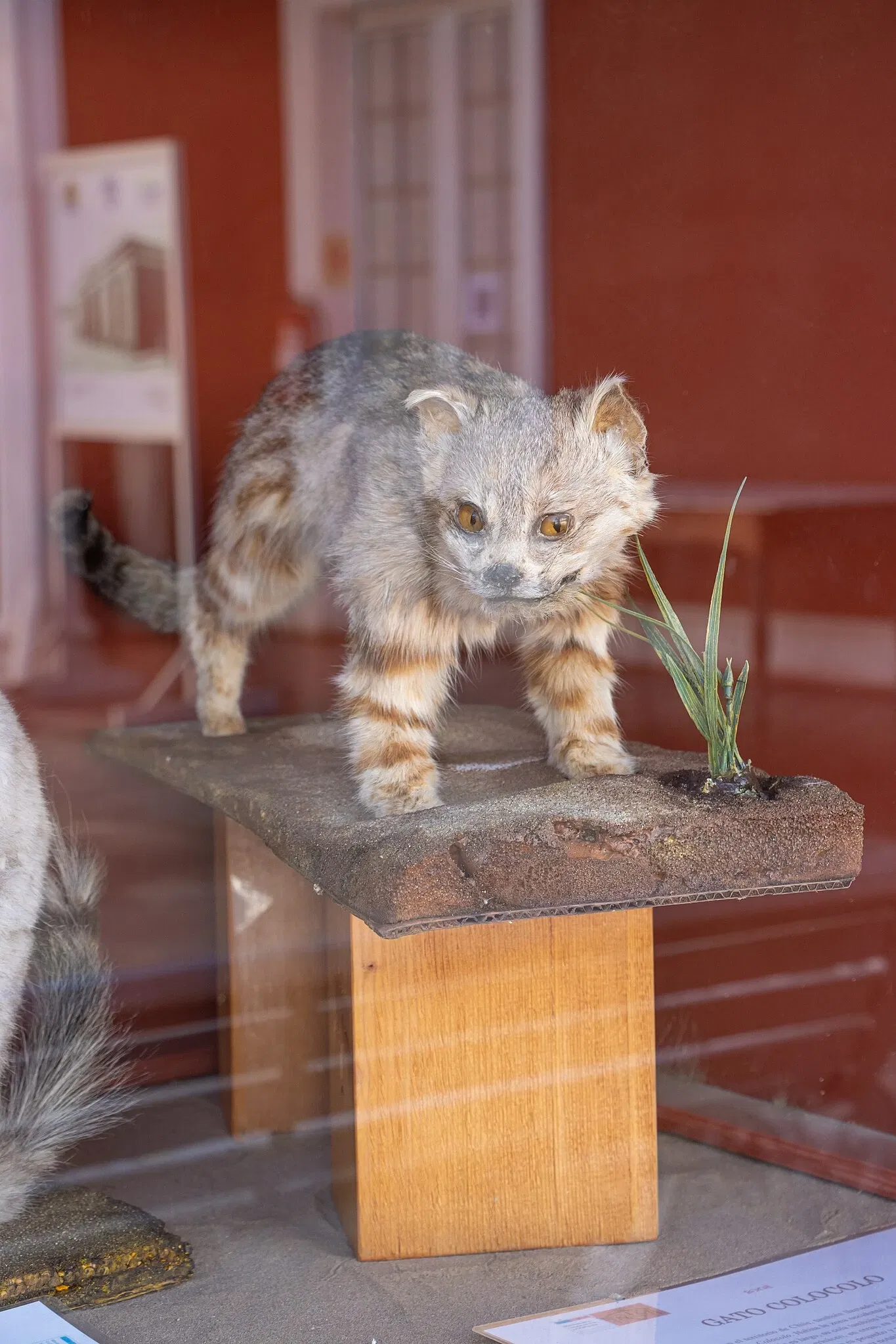 Museo Regional de Atacama
