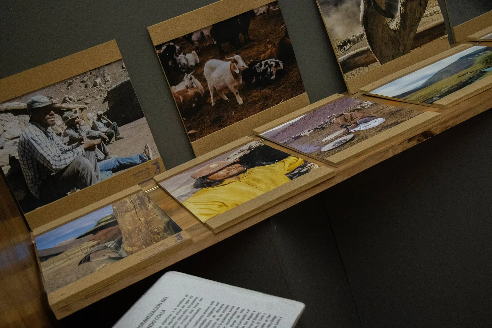 Regional Museum of Atacama