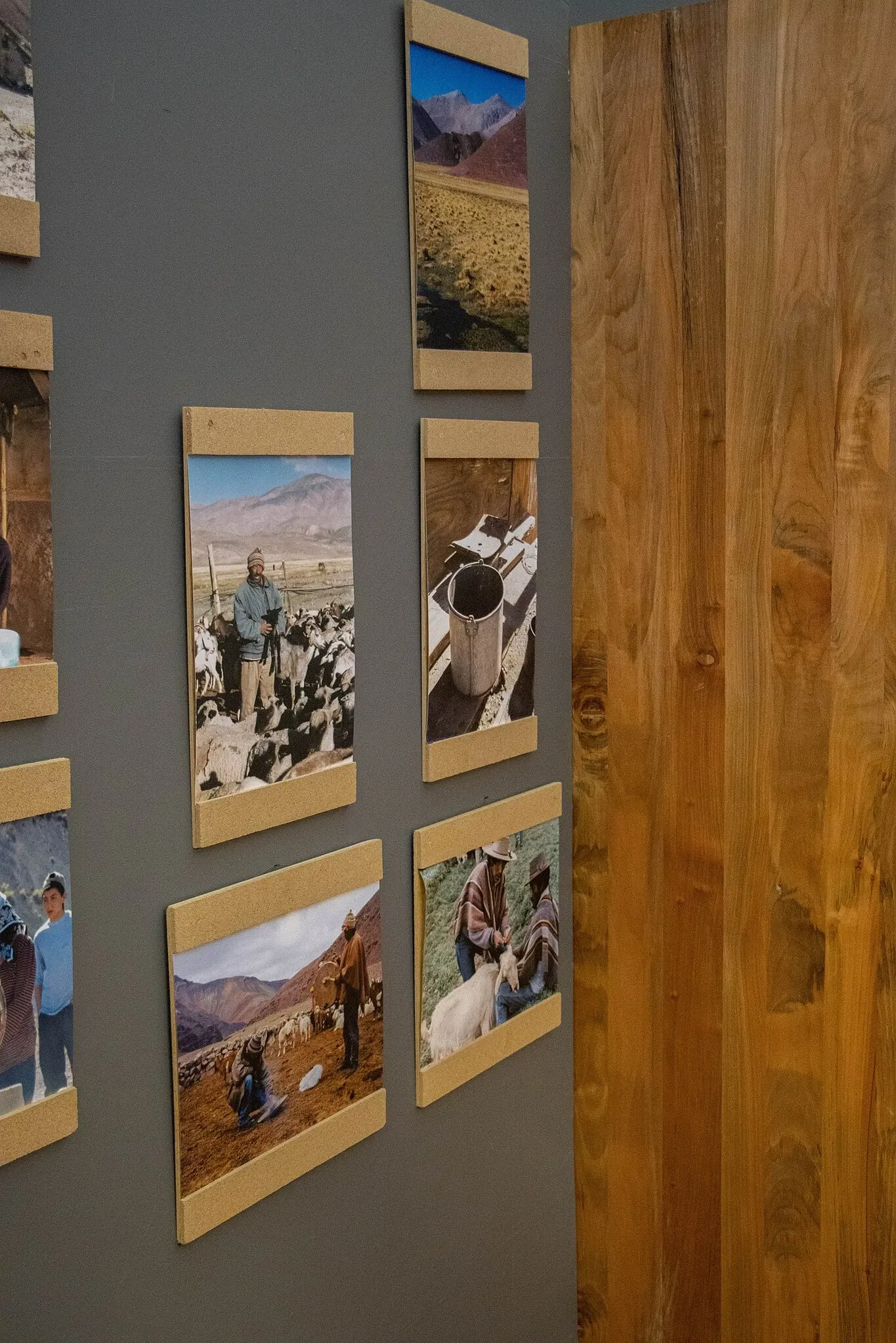 Regional Museum of Atacama