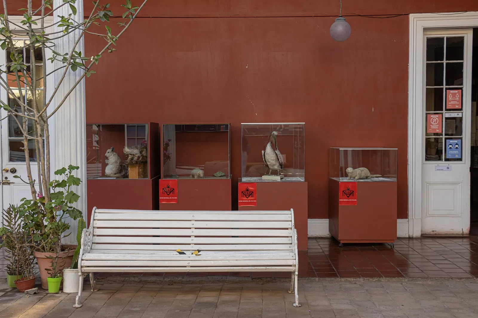 Regional Museum of Atacama