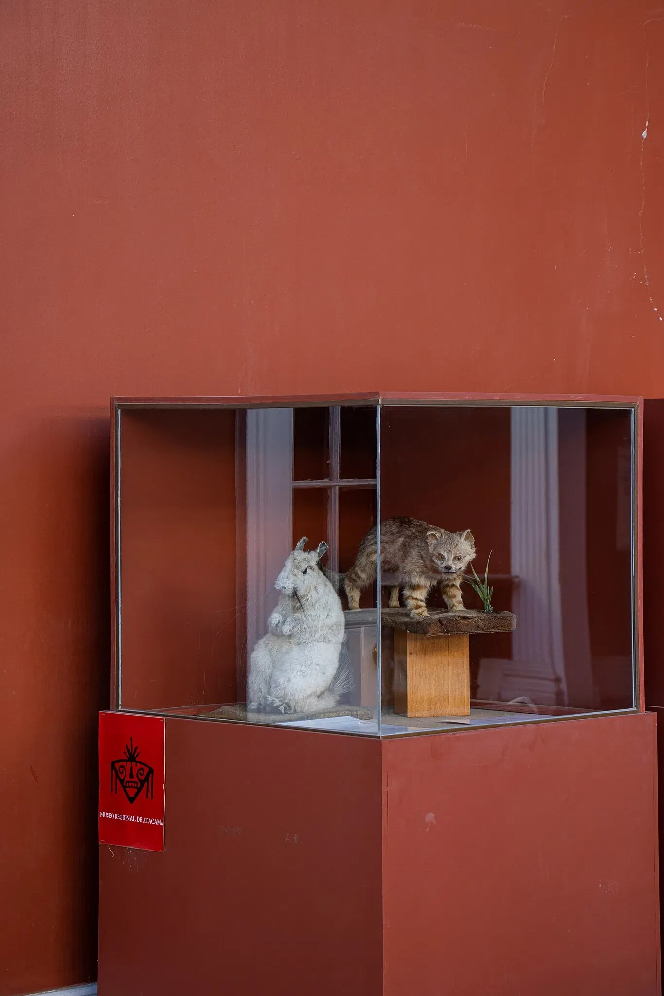 Regional Museum of Atacama