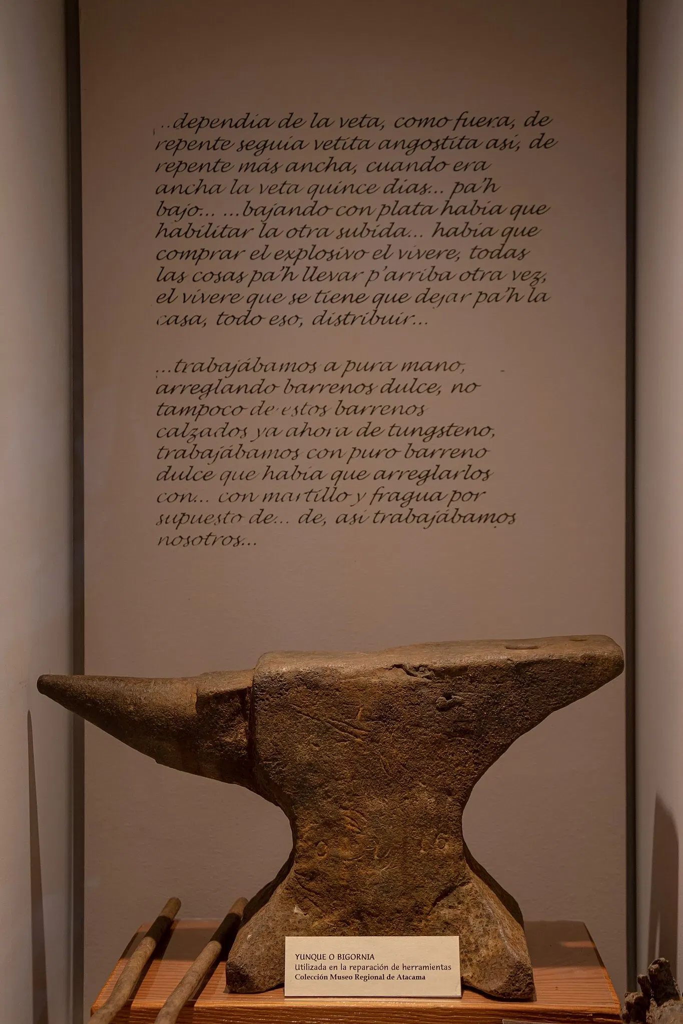 Regional Museum of Atacama