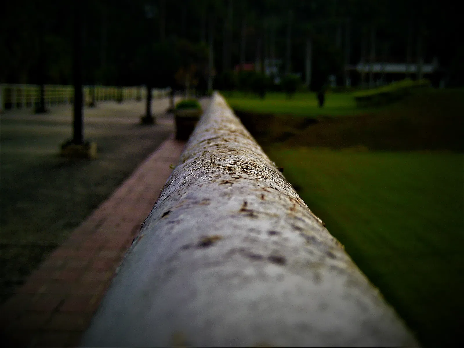 Casa Natal del Libertador Simón Bolívar