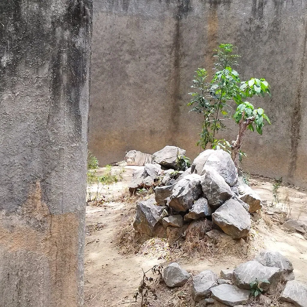 Parque Zoológico El Pinar