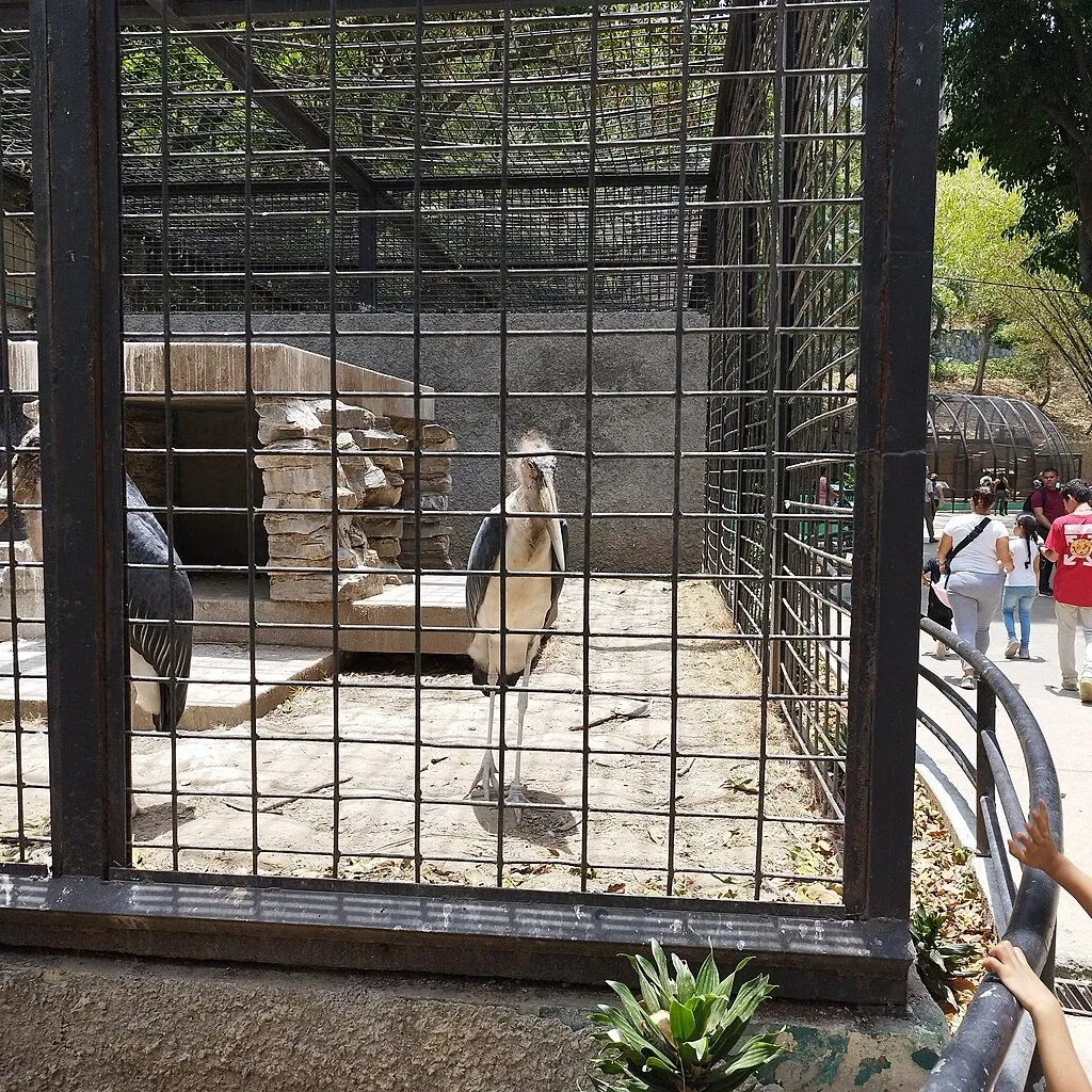El Pinar Zoo