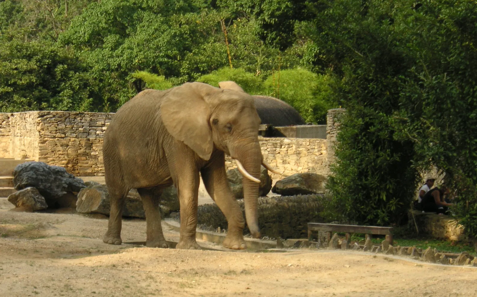 Parque Zoológico El Pinar