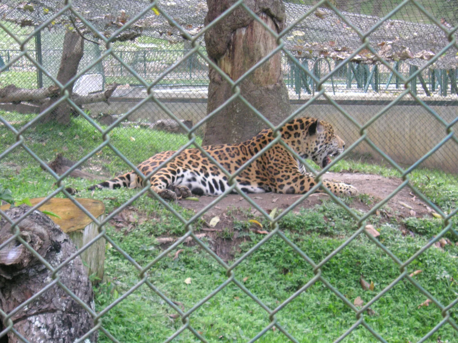 El Pinar Zoo