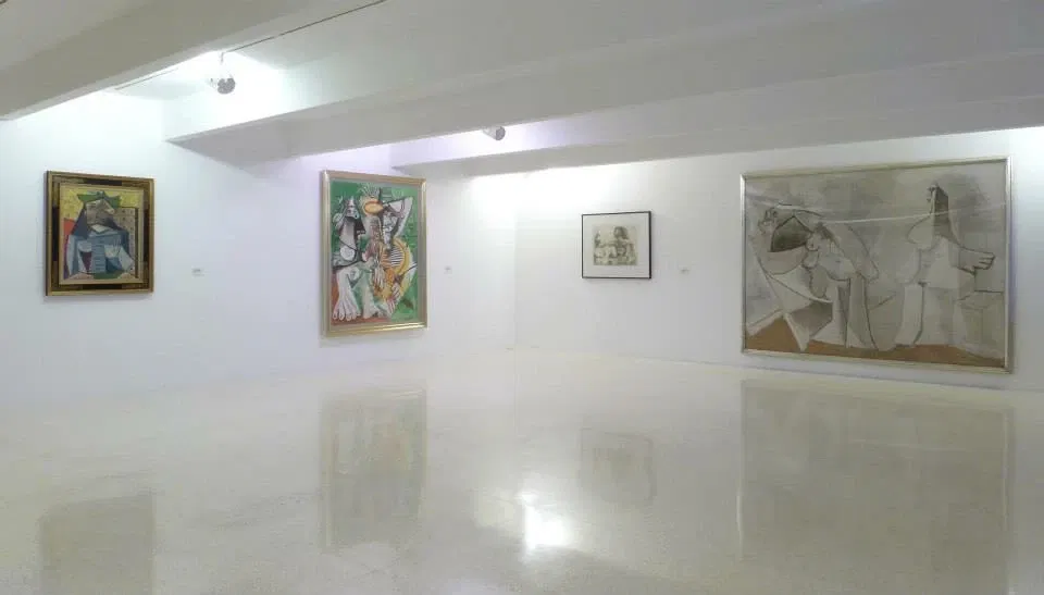 Museo de Arte Contemporaneo Sofía Imber