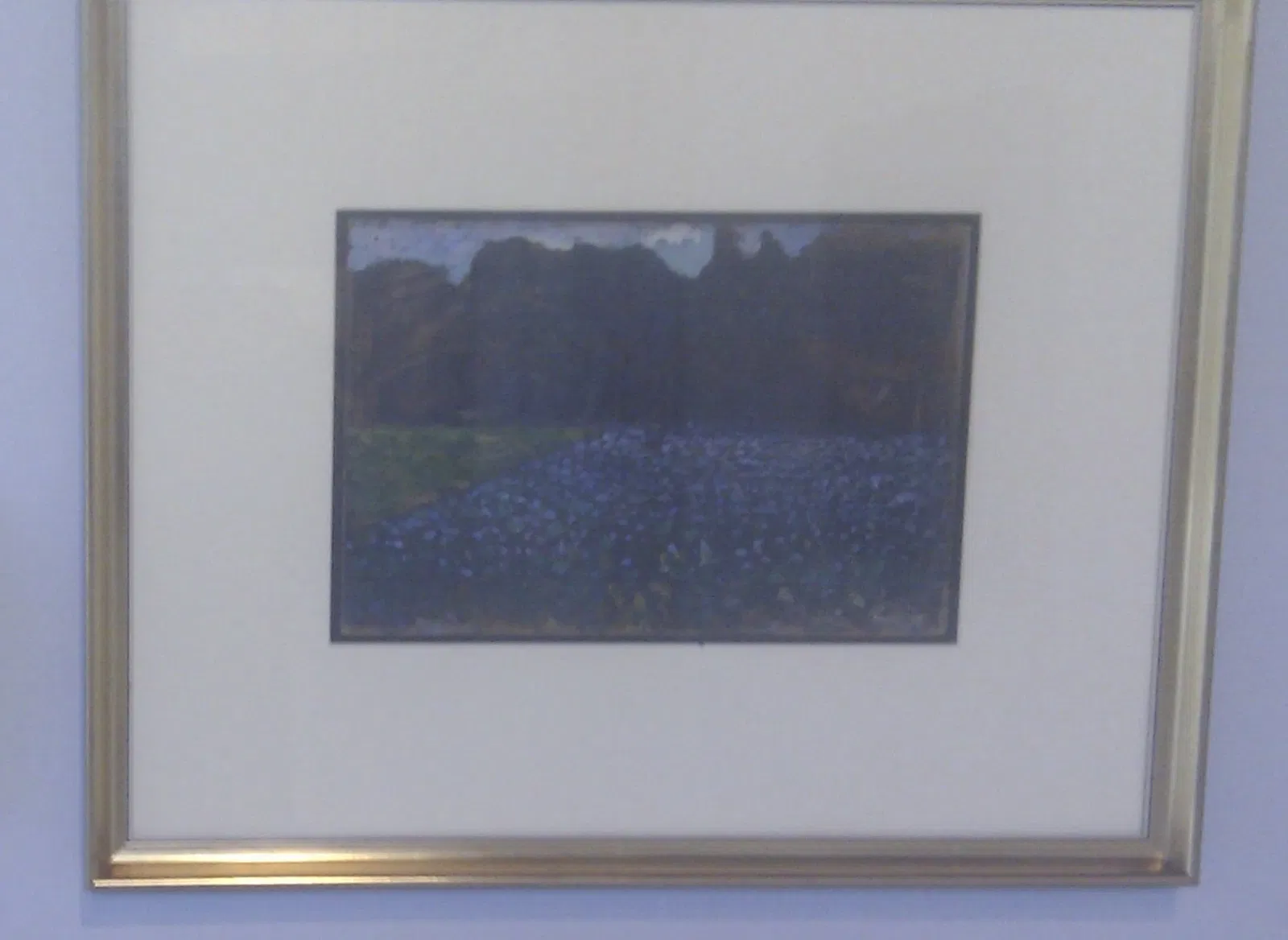 Museo de Arte Contemporaneo Sofía Imber