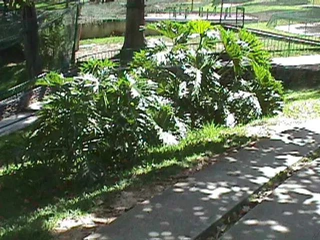 Caricuao Zoo
