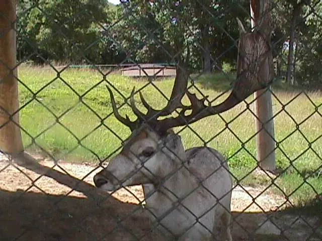Parque Zoológico Caricuao