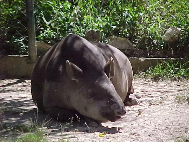 Parque Zoológico Caricuao