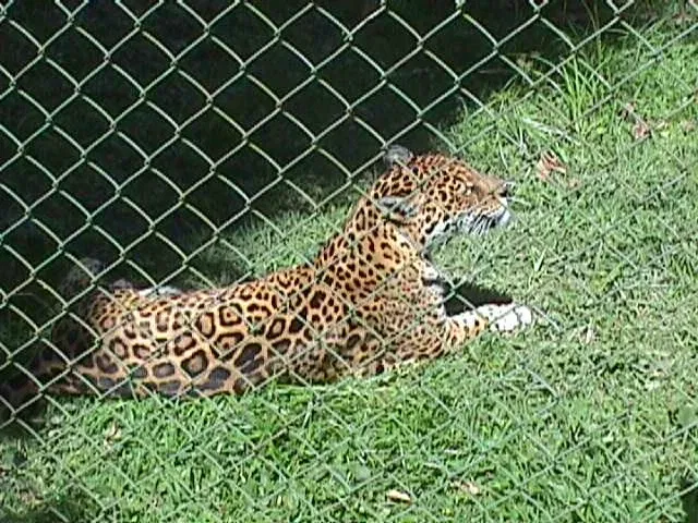 Caricuao Zoo
