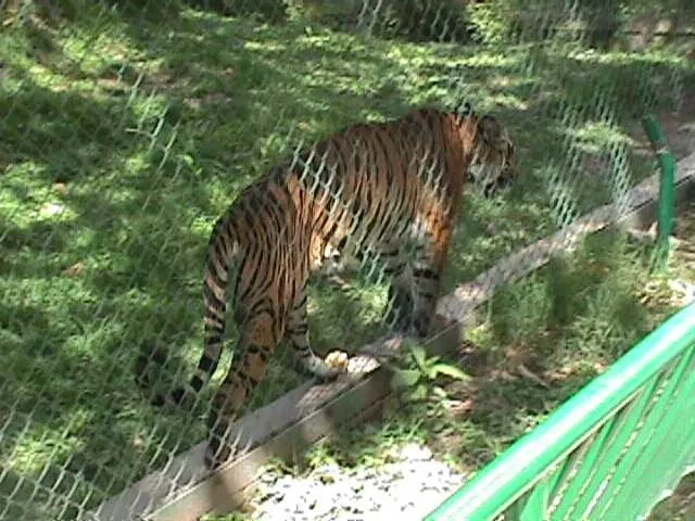 Parque Zoológico Caricuao