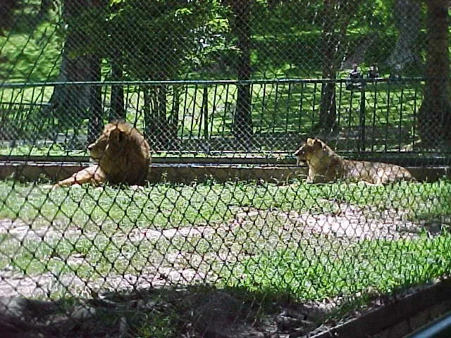 Caricuao Zoo