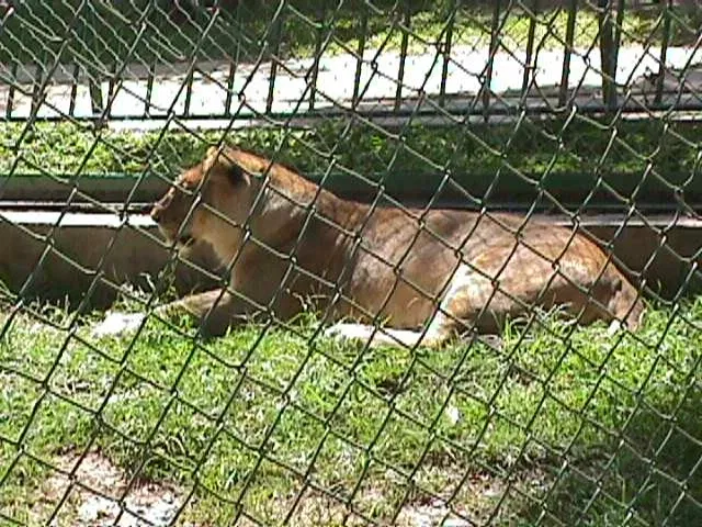 Parque Zoológico Caricuao