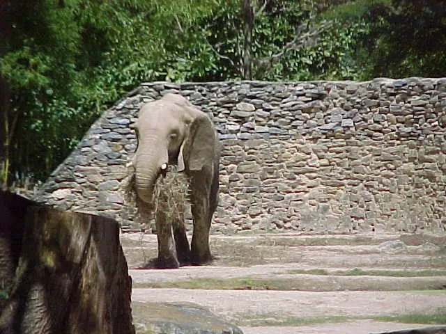 Caricuao Zoo