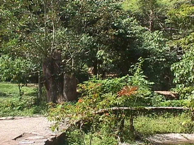 Parque Zoológico Caricuao