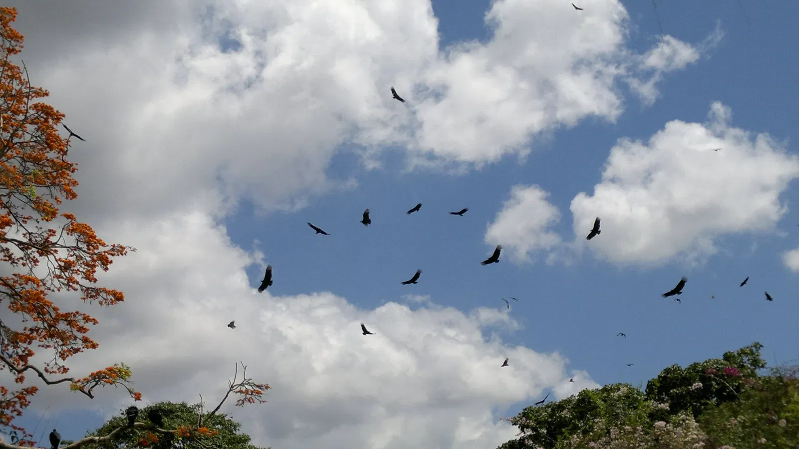 Parque Zoológico Caricuao