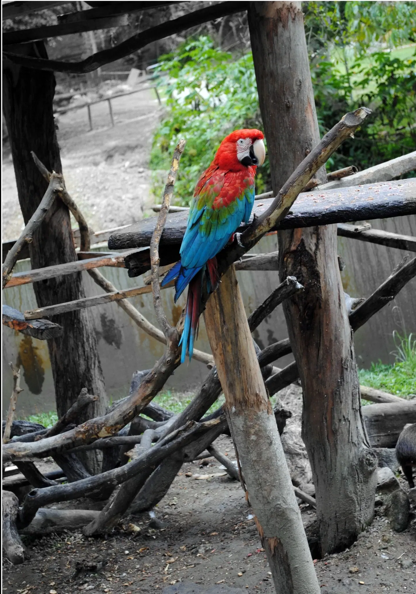 Parque Zoológico Caricuao