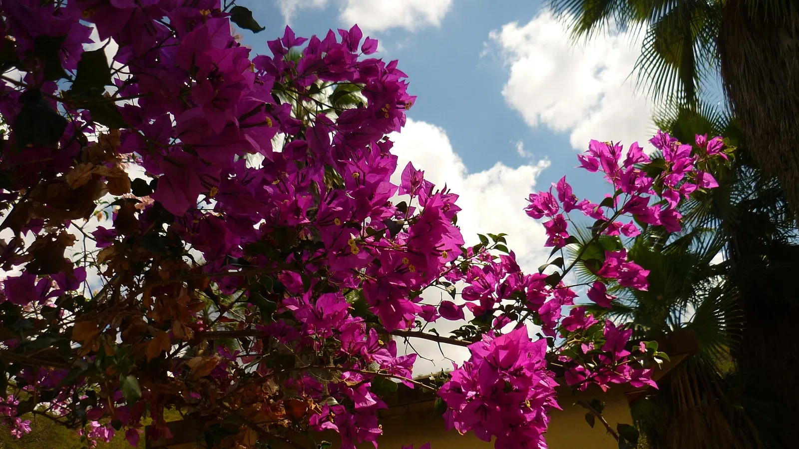 Parque Zoológico Caricuao