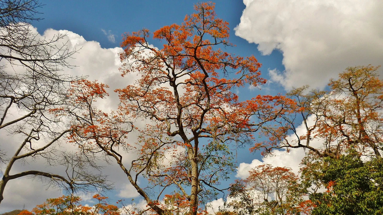 Parque Zoológico Caricuao