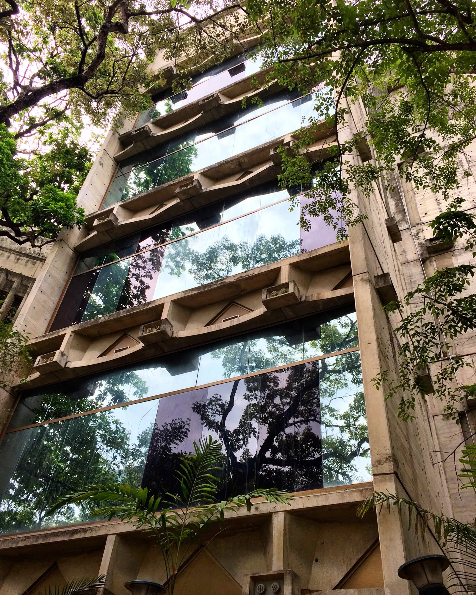 Museo de Bellas Artes