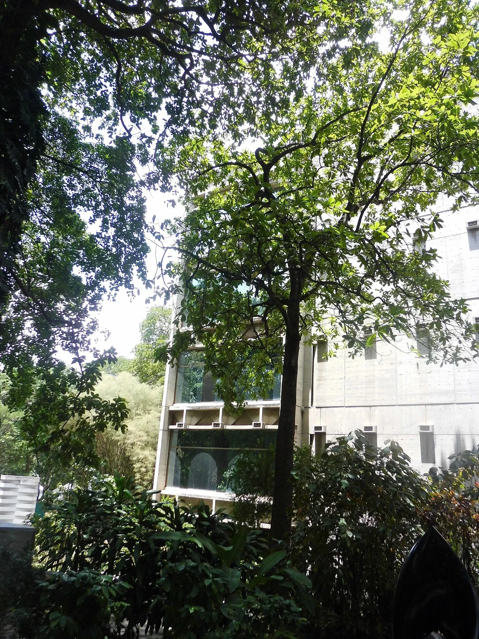 Musée des Beaux-Arts de Caracas