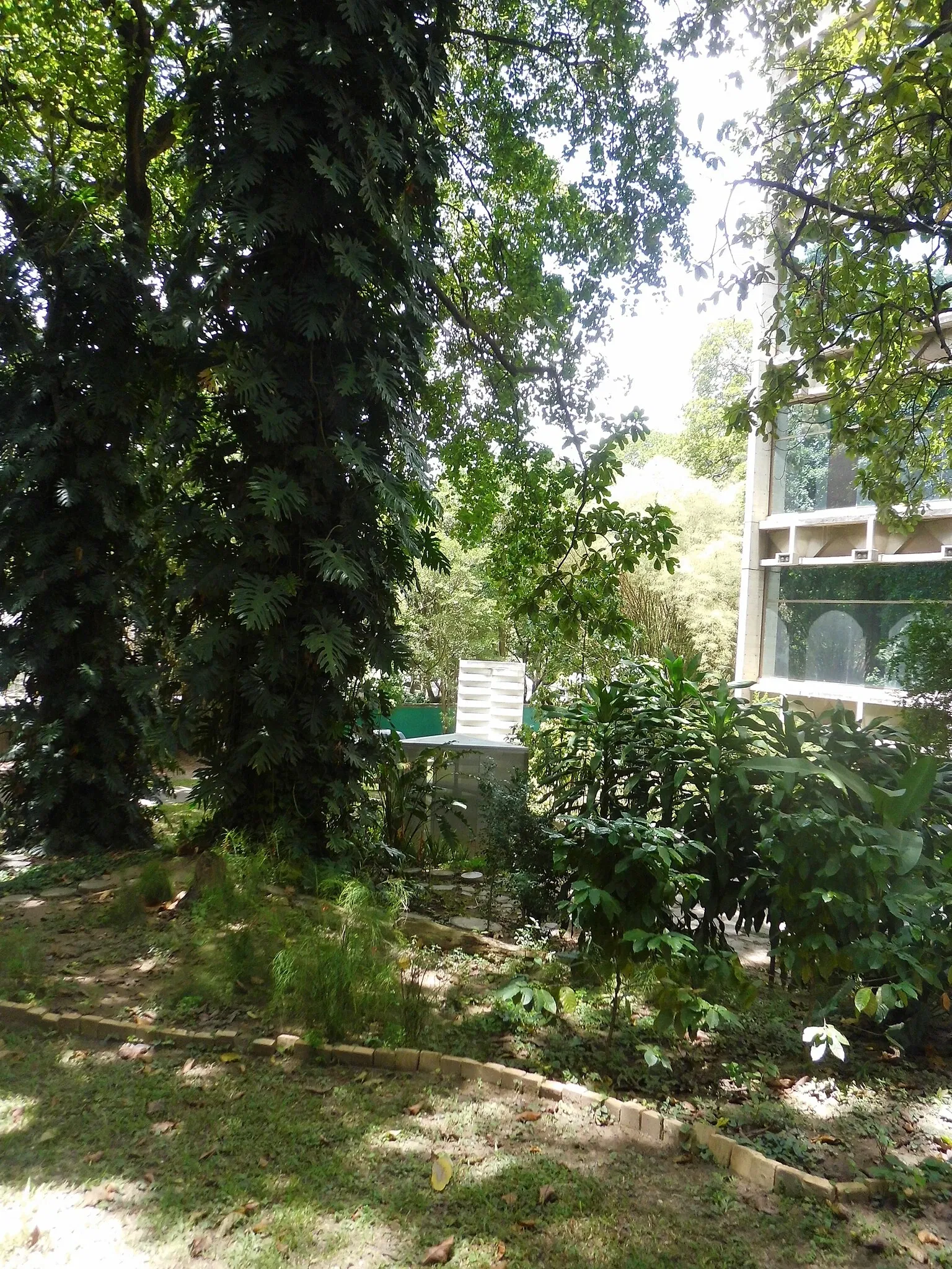 Musée des Beaux-Arts de Caracas