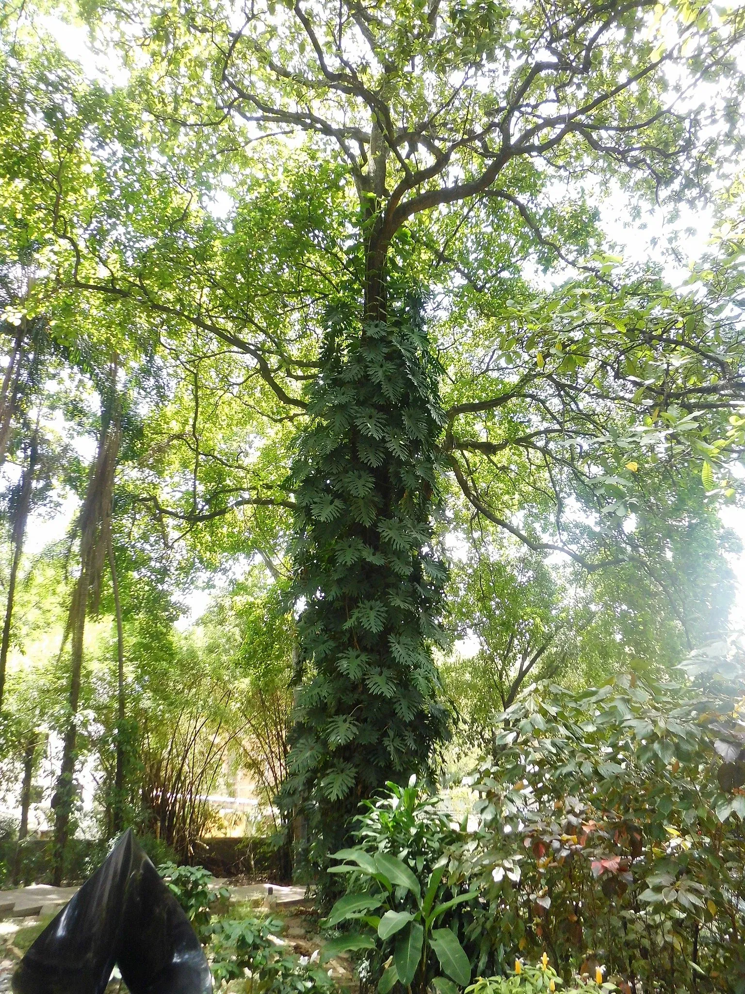 Musée des Beaux-Arts de Caracas
