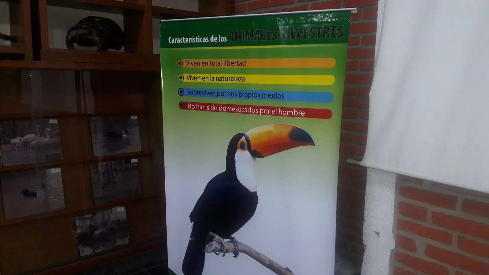 Municipal Zoo of South American Fauna Noel Kempff Mercado - Santa Cruz