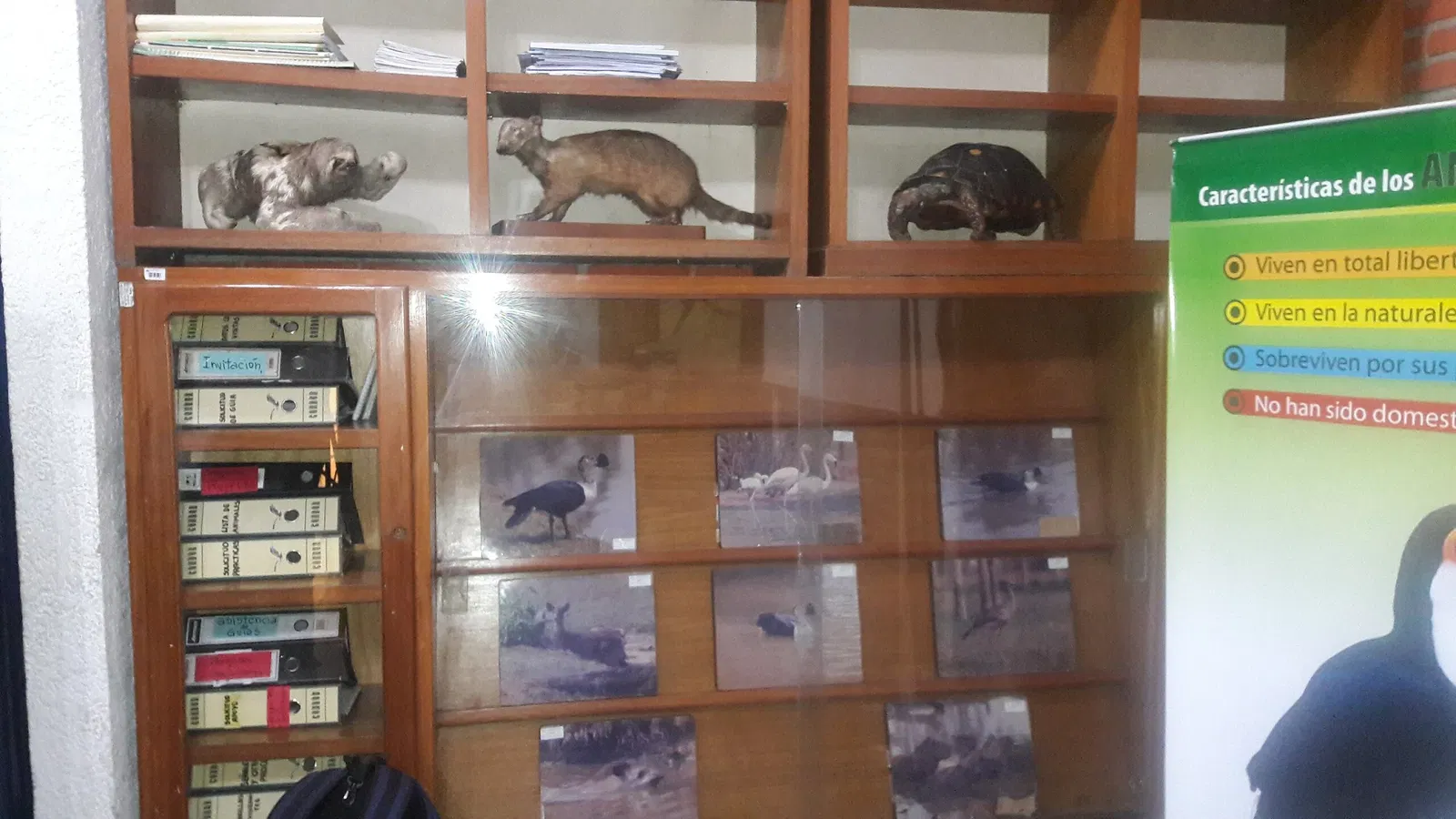 Zoológico Municipal Noel Kempff Mercado