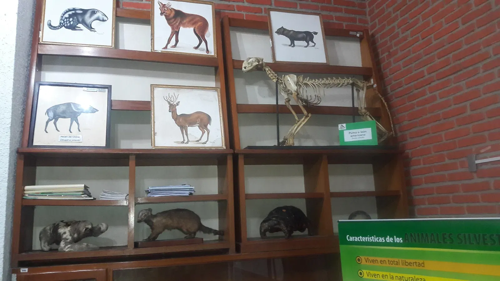 Zoológico Municipal Noel Kempff Mercado