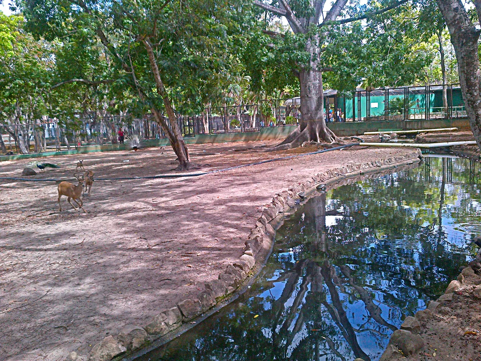 La Guaricha Zoo