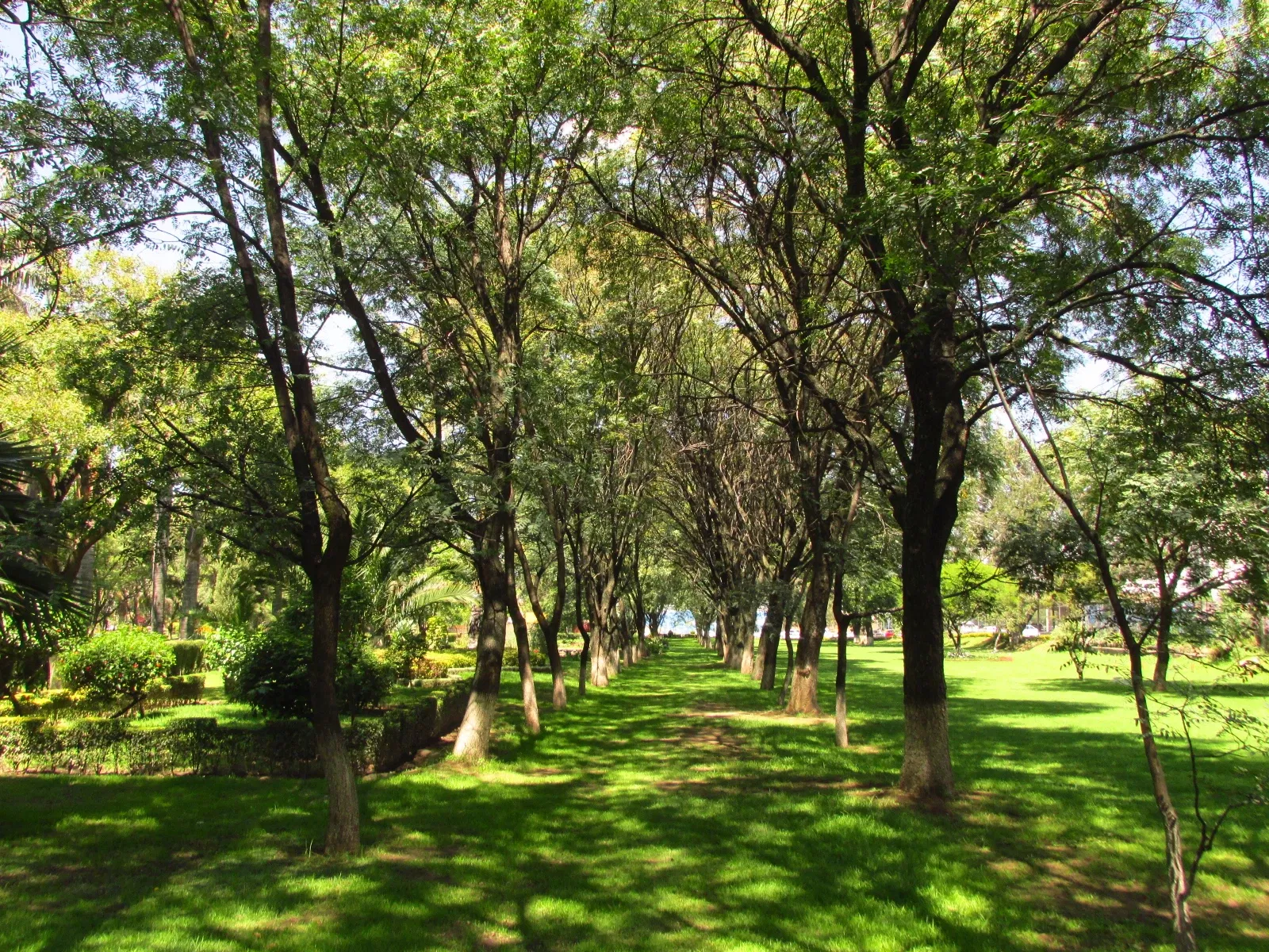 Jardín botánico Martín Cárdenas